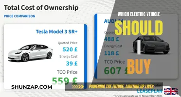 The Ultimate Guide to Choosing Your Perfect Electric Vehicle