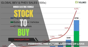 Unleash the Power: Top EV Stocks to Buy Now