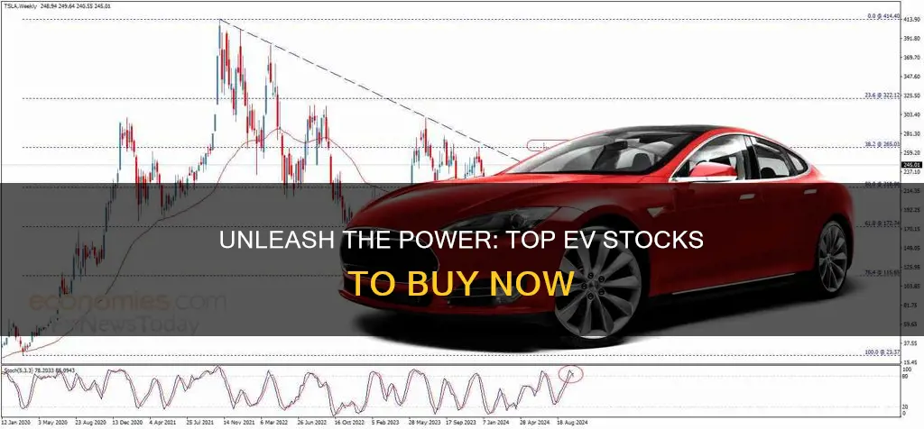 which electric vehicle stock to buy