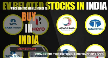 Electric Vehicle Stocks: Top Picks for India's EV Revolution