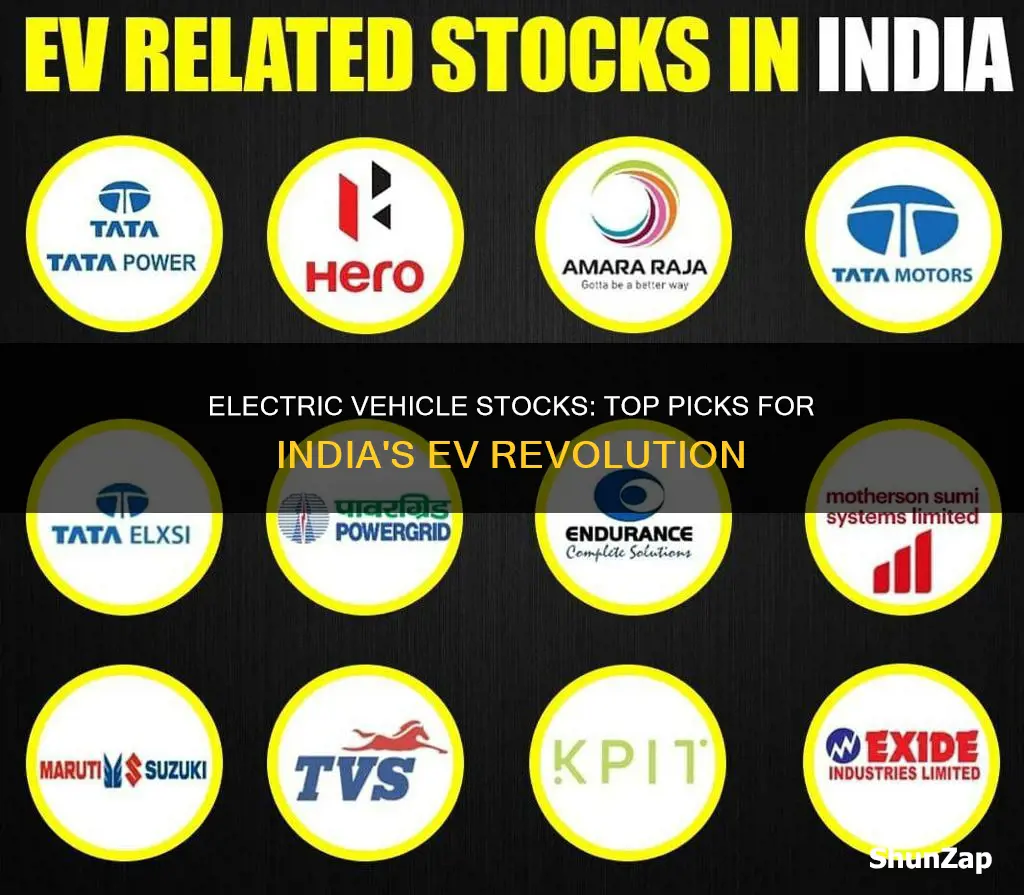 which electric vehicle stocks to buy in india