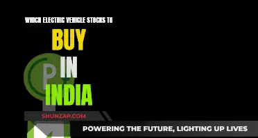 Electric Vehicle Stocks: Best Indian Investments?