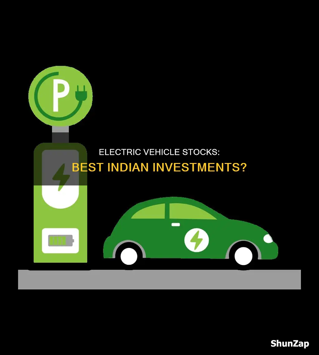 which electric vehicle stocks to buy in india
