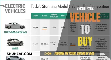 The Ultimate Guide to Choosing Your Perfect Electric Vehicle