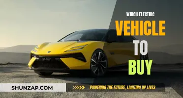 Electric Vehicle Buying Guide: Choosing Your First EV