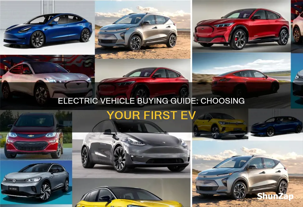 which electric vehicle to buy