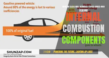 Exploring the Evolution: Electric Vehicles Without Internal Combustion Engines