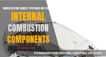 Electric Vehicles: Purely Electric, No Combustion Components