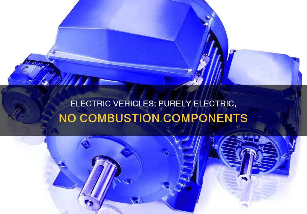 which electric vehicle types does not feature internal combustion components