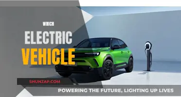 The Future of Electric Vehicles: Which One is Right?