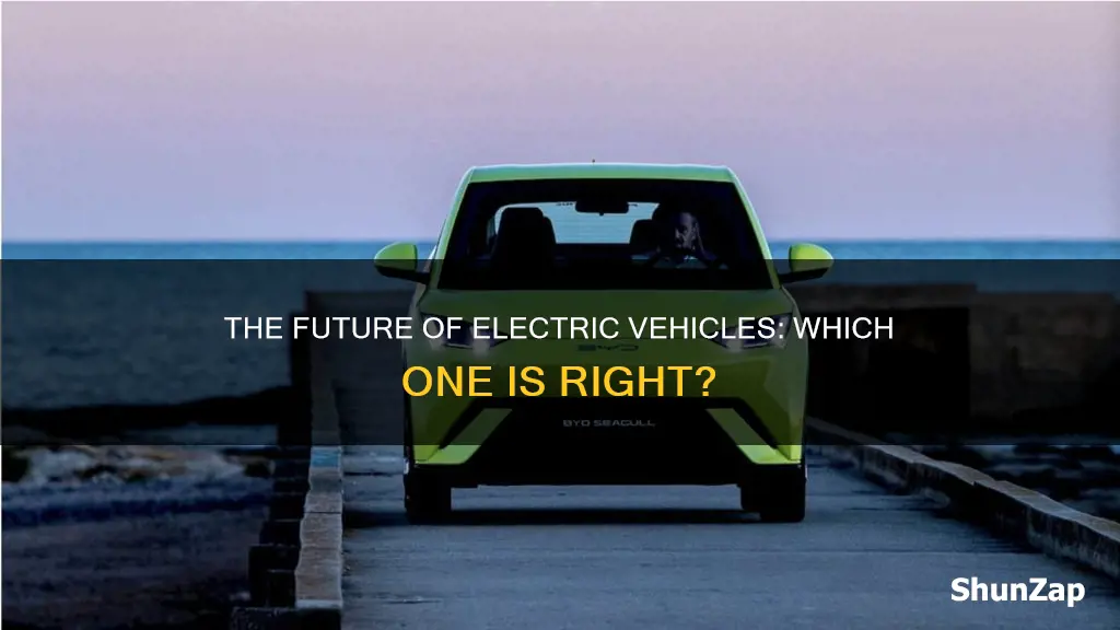 which electric vehicle