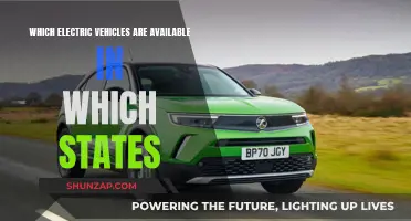 Electric Vehicle Availability Across States: A Comprehensive Overview