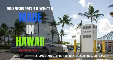 Hawaii's Electric Future: Unveiling Local EV Production