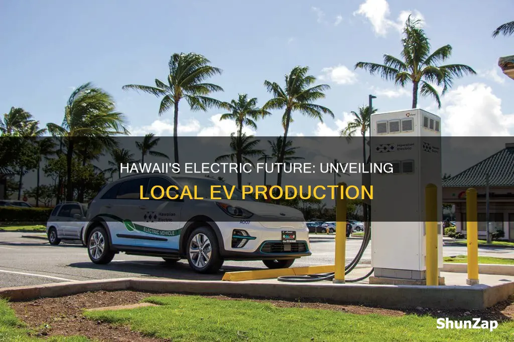 which electric vehicles are going to be made in hawaii