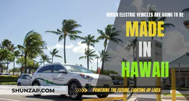 Hawaii's Electric Vehicle Manufacturing Plans: What's in Store?