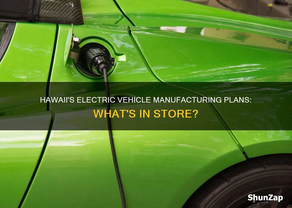 which electric vehicles are going to be made in hawaii