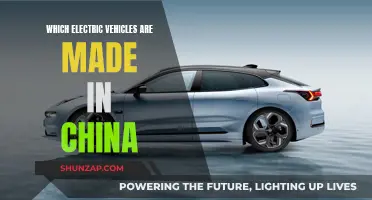 Exploring China's Electric Vehicle Revolution: Top Brands and Models