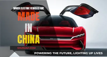 The Chinese Electric Vehicle Market: Who's Leading the Charge?