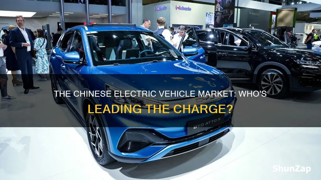 which electric vehicles are made in china
