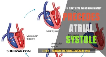 Electrical Events Leading to Atrial Systole