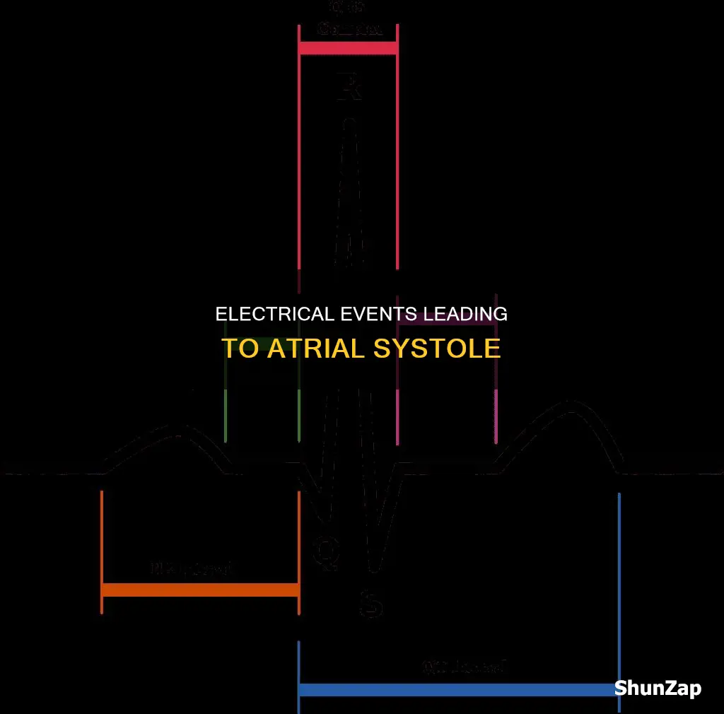 which electrical event immediately precedes atrial systole