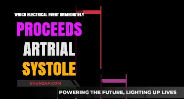 Atrial Systole: The Electrical Event That Precedes the Beat