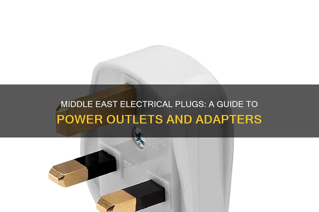 which electrical plugs do the middle east use