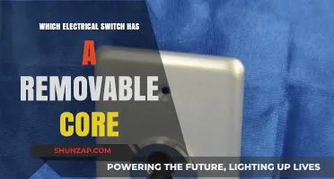 Removable Core Switches: A Flexible Electrical Solution