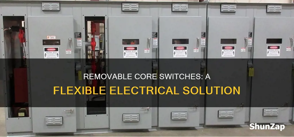 which electrical switch has a removable core
