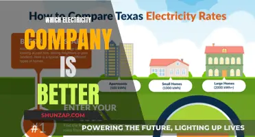 The Great Electricity Company Showdown: Who Reigns Supreme?