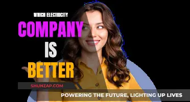 Electricity Companies: Choosing the Best Provider for You