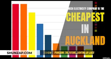 Uncover Auckland's Cheapest Electricity Deals: A Comprehensive Guide