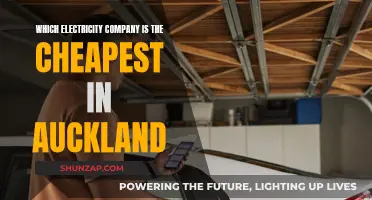 Auckland's Most Affordable Power Company: Who's the Cheapest?