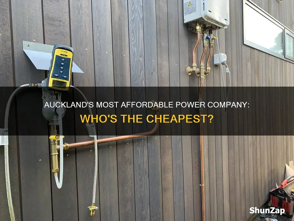 which electricity company is the cheapest in auckland