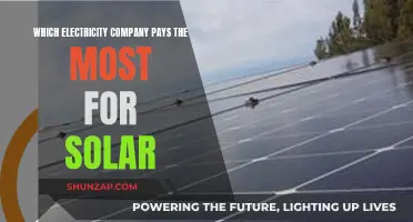 Solar Power Profits: Which Electricity Company Pays Premium?