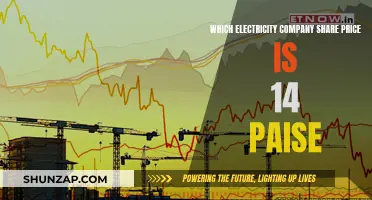 Electricity Company Share Price: A Paise-ful Journey