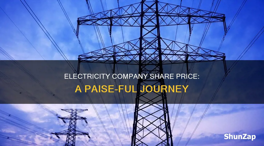 which electricity company share price is 14 paise