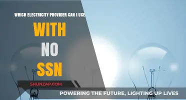 No SSN Required: Electricity Providers for Your Home or Business