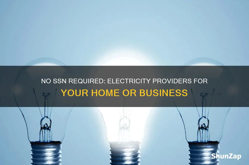 which electricity provider can i use with no ssn