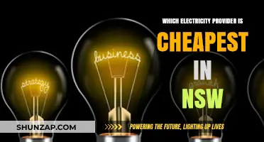 Electricity Providers in NSW: Who Offers the Cheapest Rates?