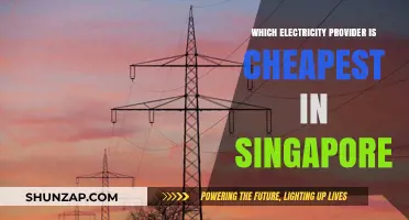 Singapore's Cheapest Electricity Provider: Who's the Best?