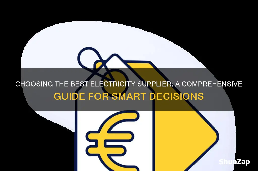 which electricity supplier to use