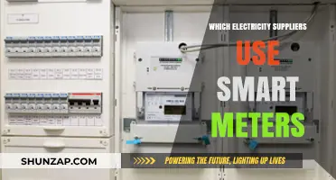 Smart Meter Providers: Which Electricity Suppliers Offer Advanced Metering?