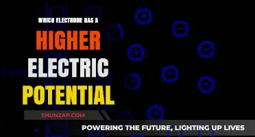 Understanding Electrodes: Electric Potential Differences