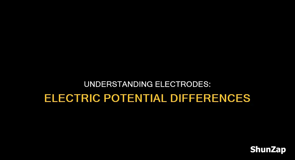 which electrode has a higher electric potential