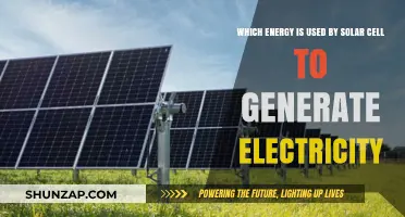 How Solar Cells Harness Sunlight to Generate Electricity: A Deep Dive