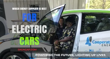 Best Energy Suppliers for Electric Car Owners: A Comprehensive Guide