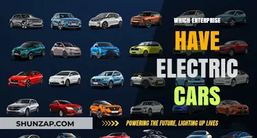 Leading Enterprises Embracing Electric Cars for Sustainable Transportation Solutions