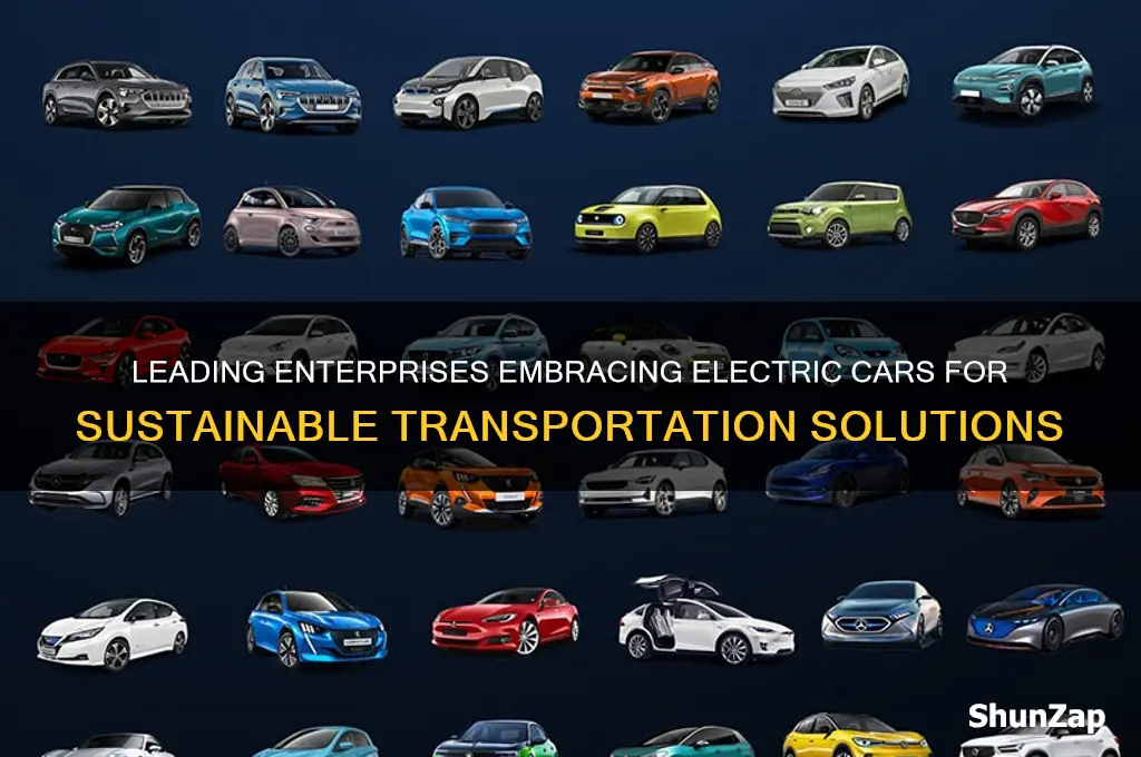 which enterprise have electric cars