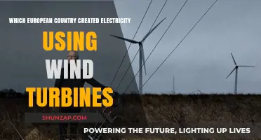 Pioneering Wind Power: The European Nation Leading in Turbine Electricity